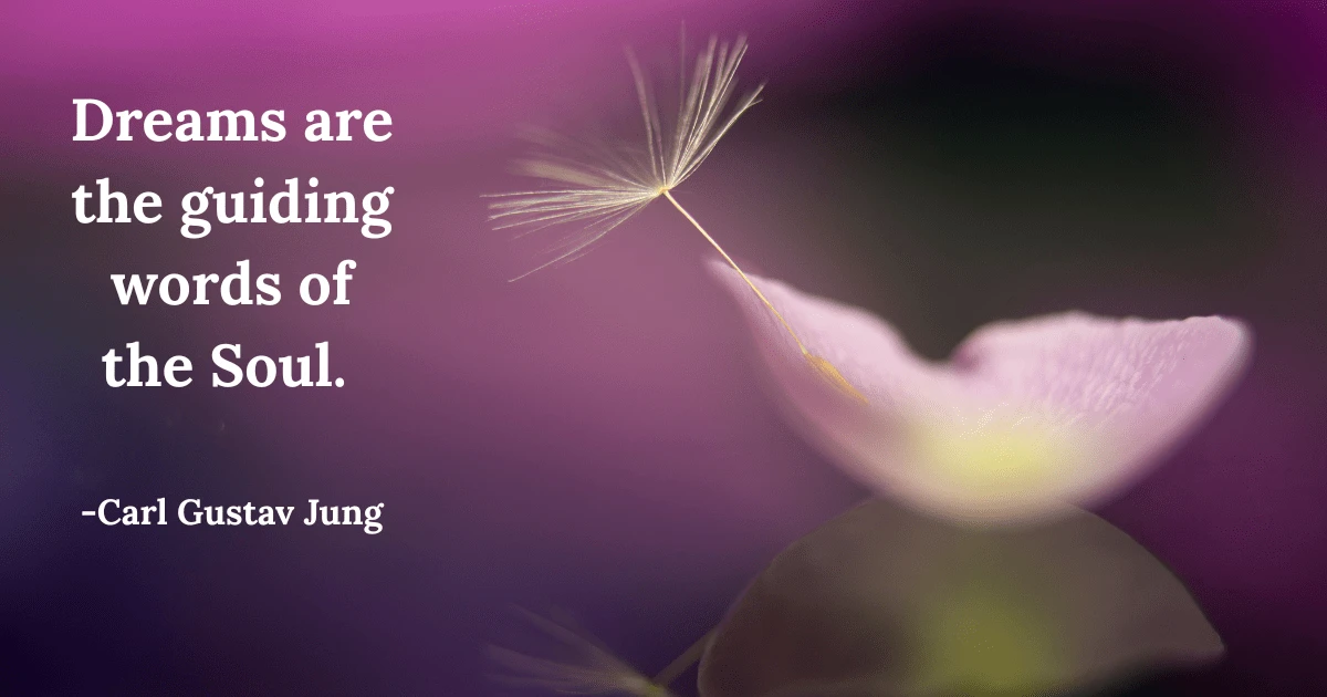 Image of a leave and flower petal