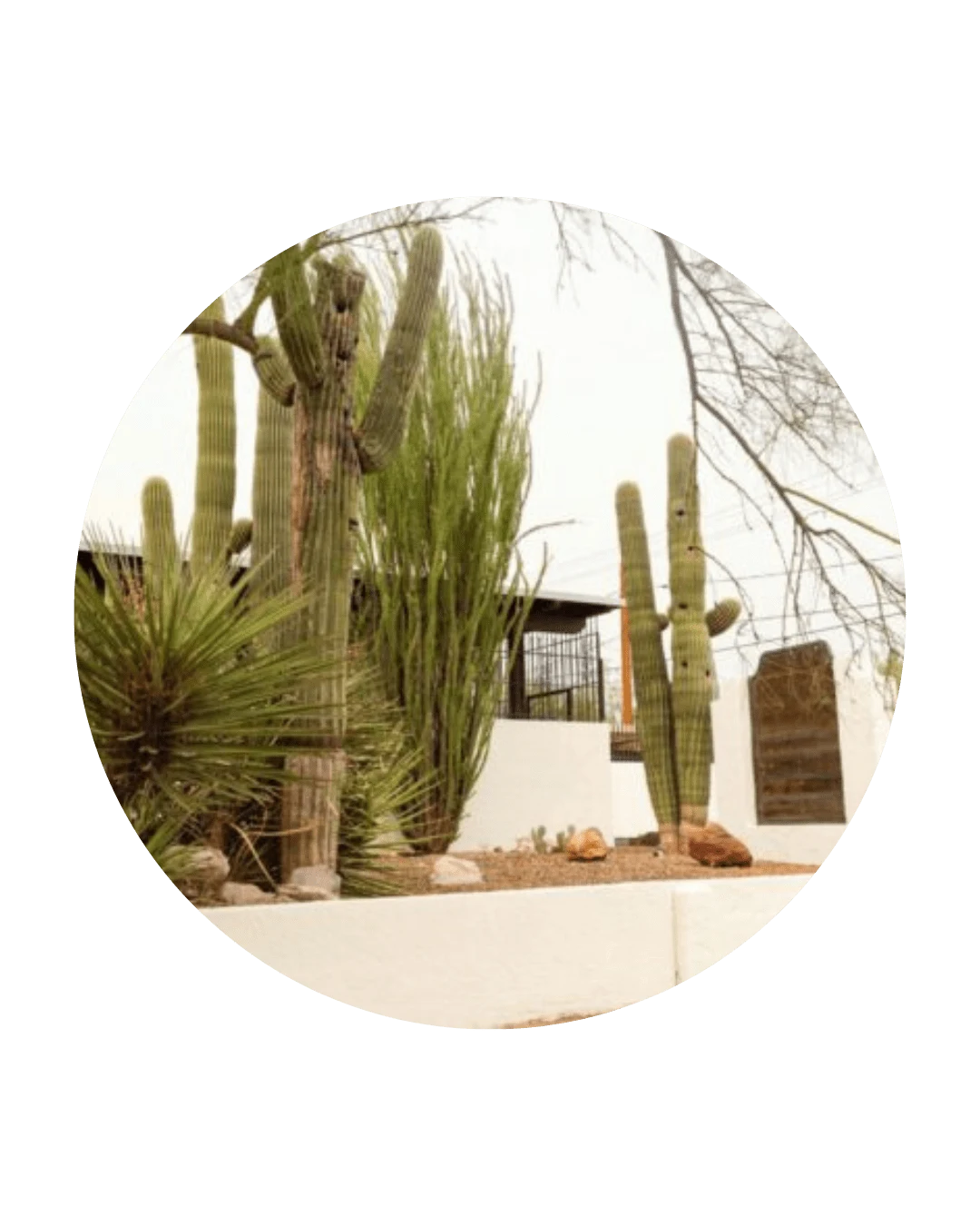 location outside with plants out front