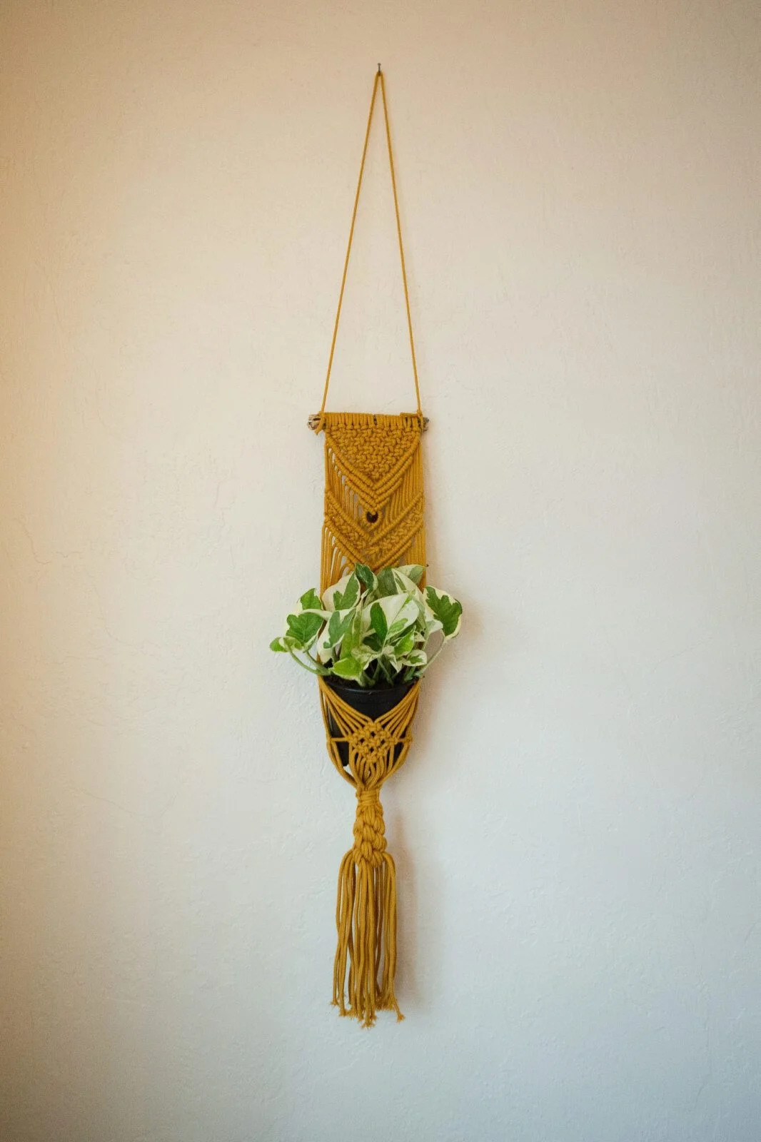 a wall hanging with a plant on the wall