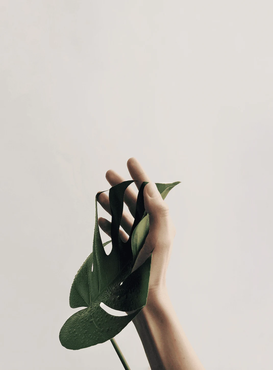 a hand reaching for a leaf