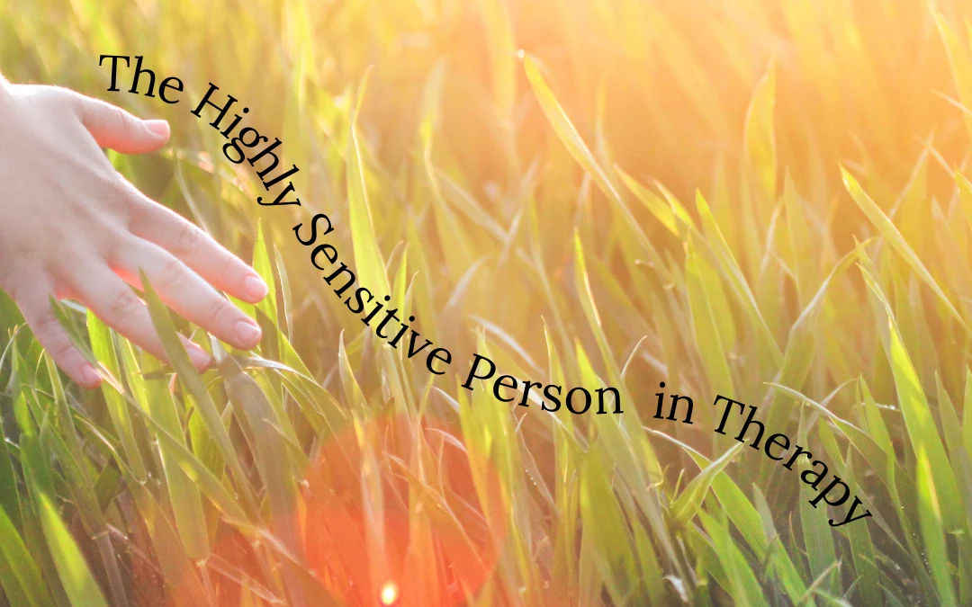 Reflections on “Self-Disclosure, Felt Safety, and the Highly Sensitive Person”