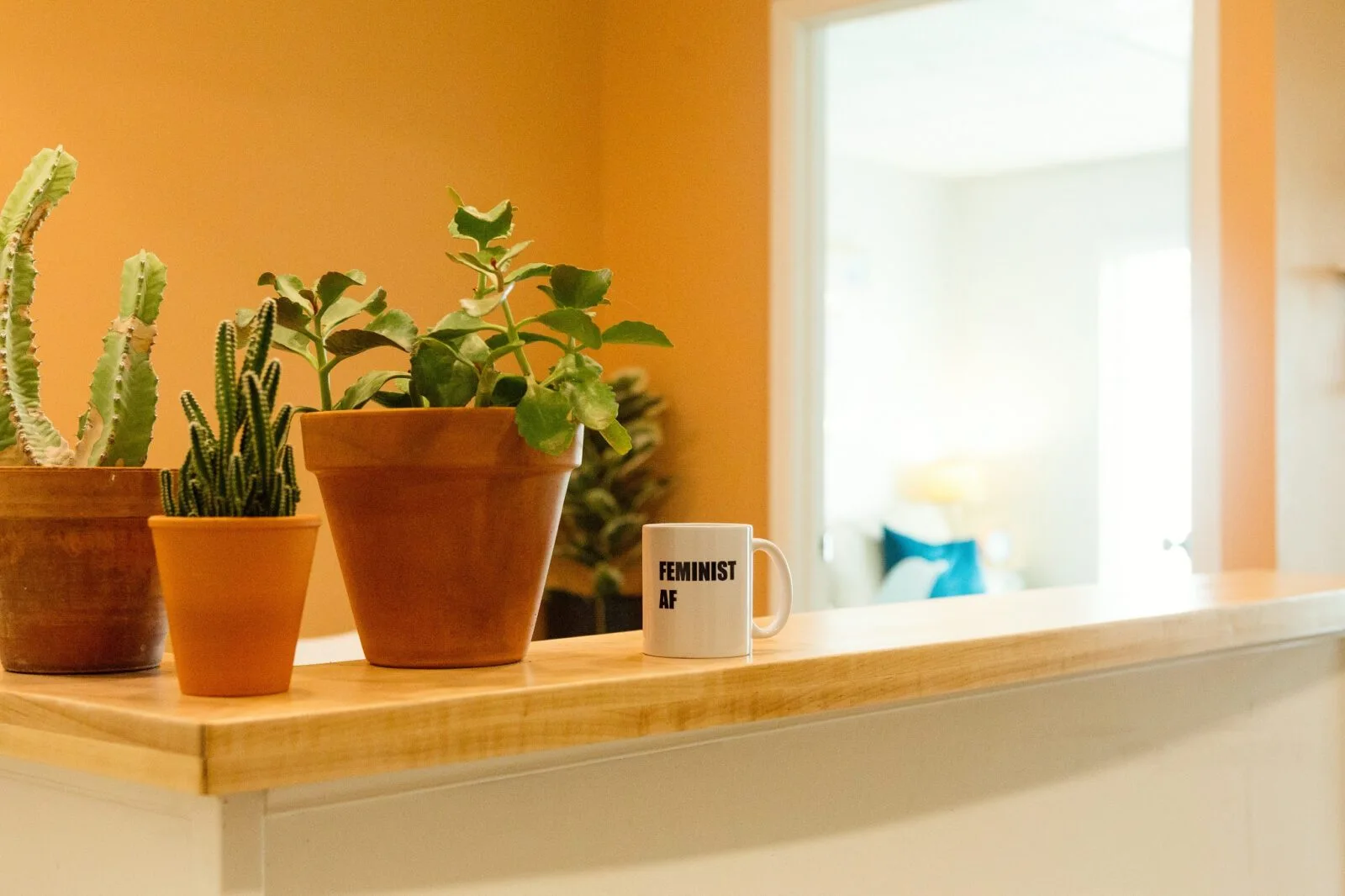 three plants and a coffee cup