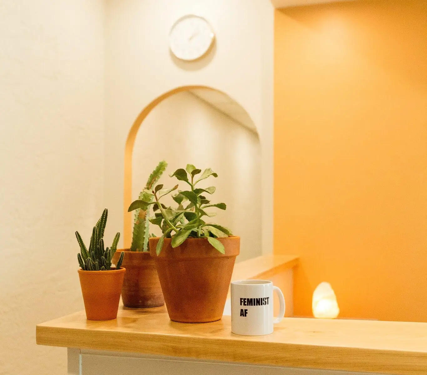 three plants and a coffee mug